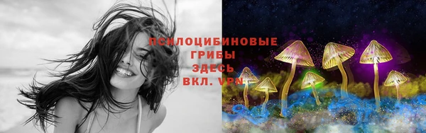 синтетический гашиш Алексеевка