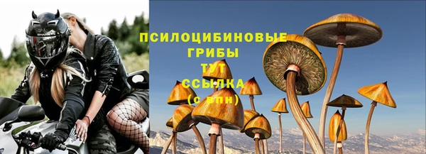 бошки Зерноград