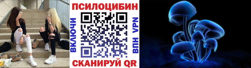 сколько стоит  Лангепас  Псилоцибиновые грибы Magic Shrooms 
